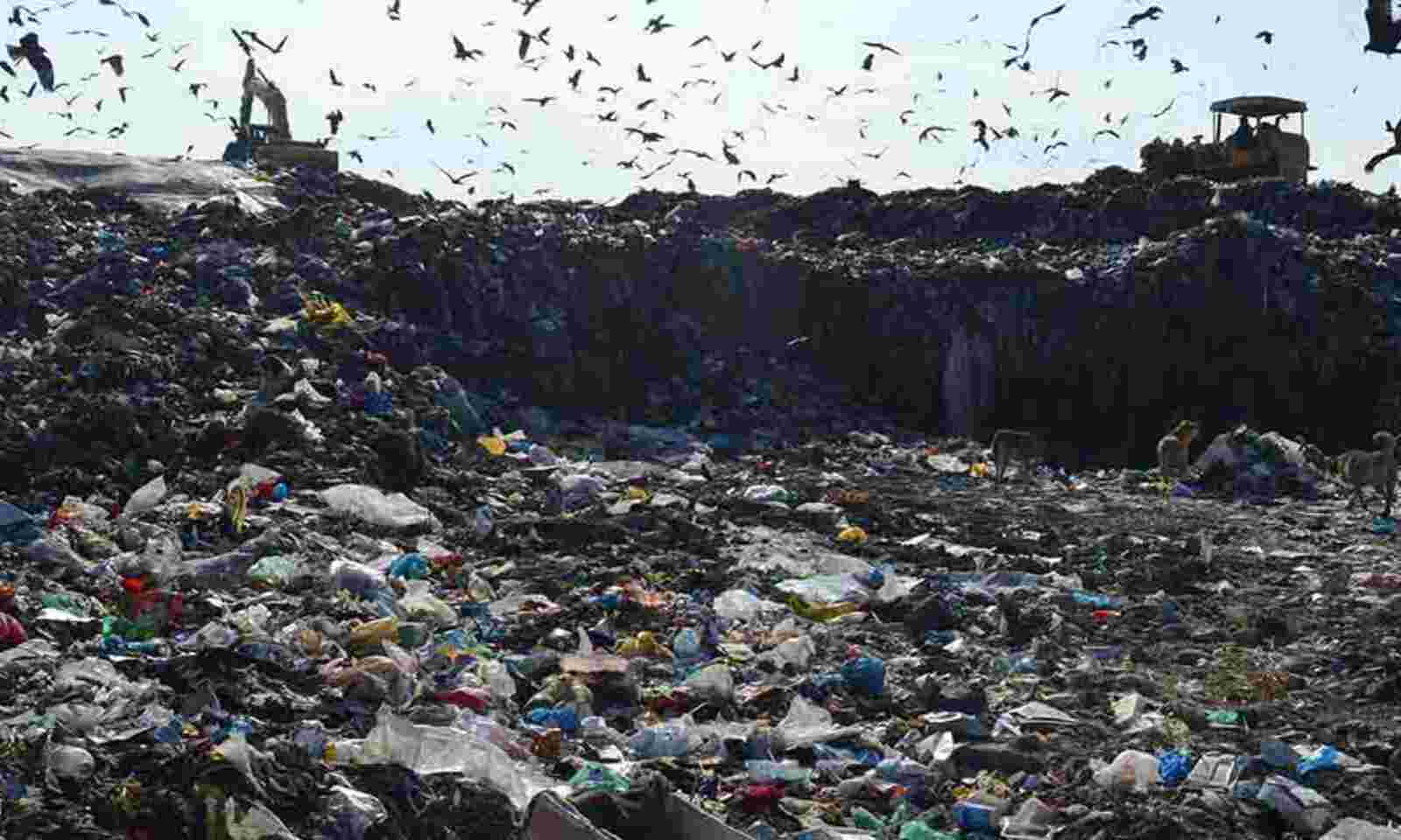 Details more than 89 polythene bags banned in delhi latest in.duhocakina