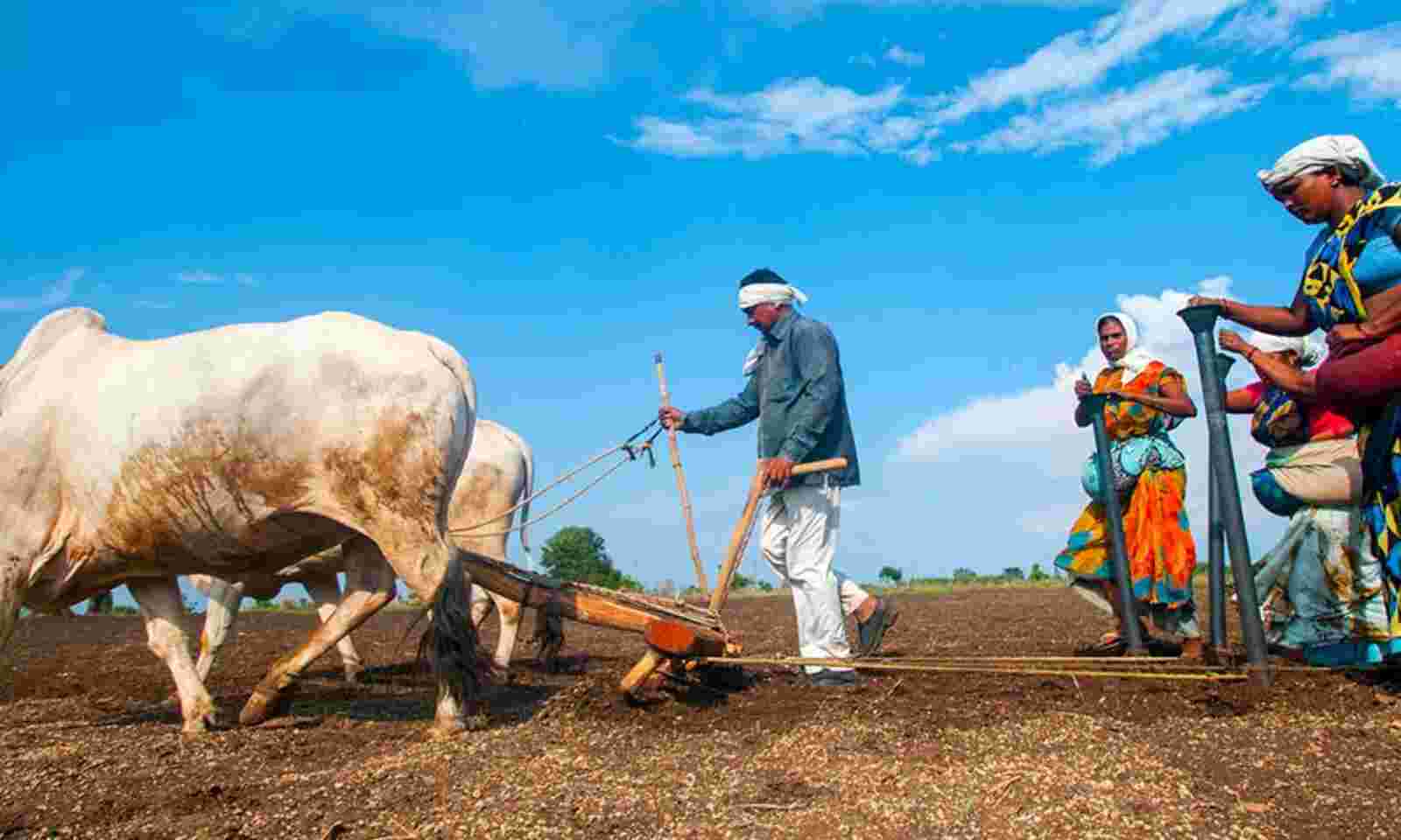 india-s-10-000-farmers-collective-plan-needs-funds-professional-management