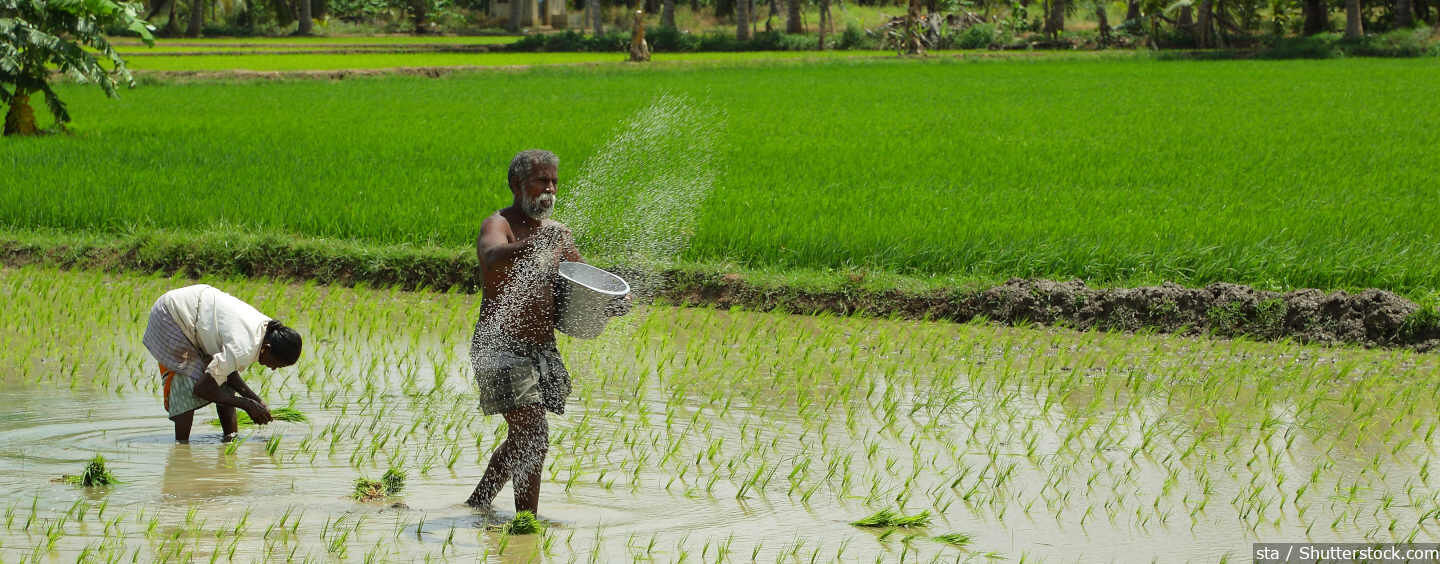 intensive farming in india