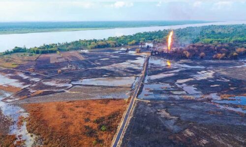 Assam Oilfield Fire: Wildlife Institute Wants Review of Eco Clearances, RTI Shows