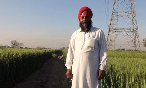 Migrant Labour Shortage Makes Punjab Farmers Opt For Water-Saving Mechanised Rice Seeding