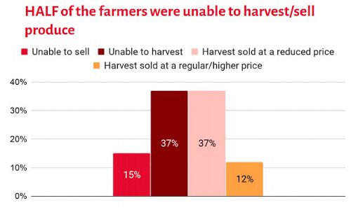 2/3rd of 4,000 surveyed workers in 12 states out of work 2/3rd of 4,000 surveyed workers in 12 states out of work