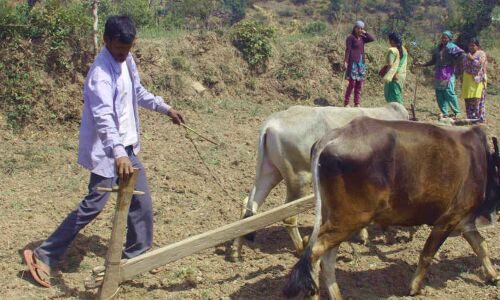 Uttarakhand Tries To Retain Migrants Back Home Due to COVID-19. Migrants Point To Systemic Issues