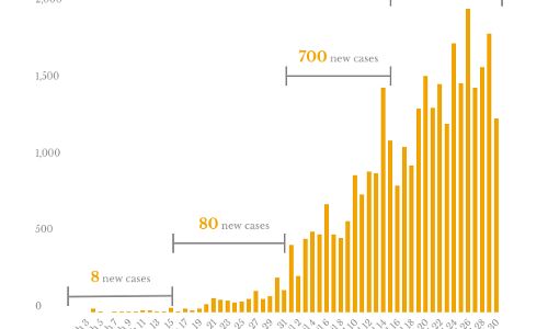 In 60 days, India’s COVID-19 cases increased from 3 to over 33,000 In 60 days, India’s COVID-19 cases increased from 3 to over 33,000