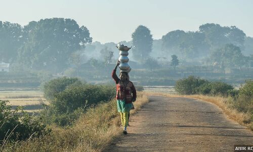 12 Constituencies That BJP Lost In Jharkhand Are Forest Rights-Sensitive 12 Constituencies That BJP Lost In Jharkhand Are Forest Rights-Sensitive