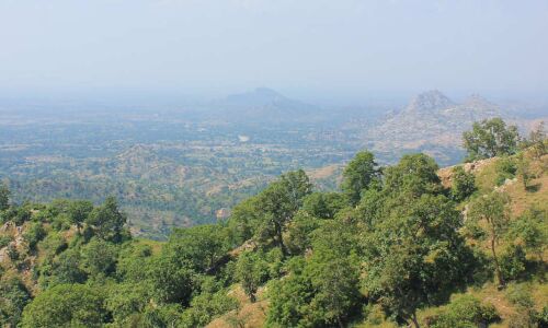 How A Rajasthan Village Halted Desertification, One Common Land At A Time