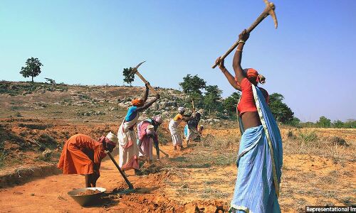 In Jharkhand, Forest Rights Could Decide Votes In 77% Assembly Seats