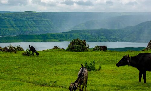 388 Western Ghats Villages In Maharashtra May Be Denied Eco Protections 388 Western Ghats Villages In Maharashtra May Be Denied Eco Protections