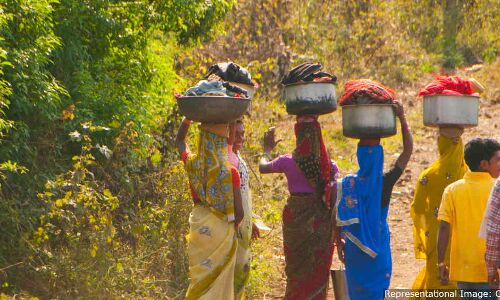 ‘Forest Rights Could Influence Votes In 70% Of Assembly Seats In Maharashtra’ ‘Forest Rights Could Influence Votes In 70% Of Assembly Seats In Maharashtra’