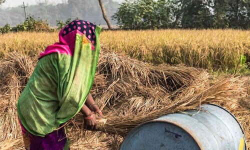 Loan Waivers Encourage Defaults, Re-Examine Farm Subsidy, Credit: RBI