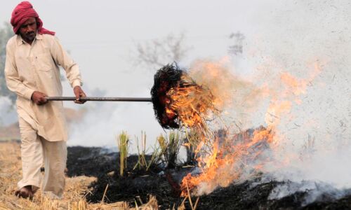 As Nearby States Report 350 Stubble Fires In 7 Days, Delhi Prepares To Deal With Bad Air As Nearby States Report 350 Stubble Fires In 7 Days, Delhi Prepares To Deal With Bad Air