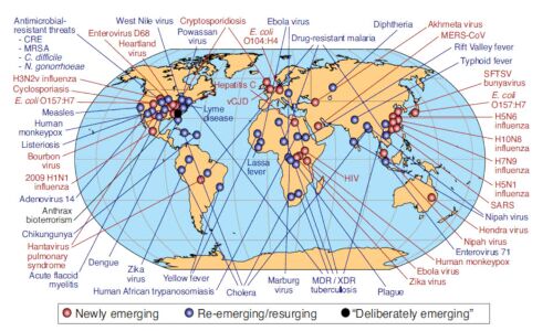 Flu-Like Epidemic Could Kill 80 Mn Globally, Wipe Out 5% Global GDP: New Report Flu-Like Epidemic Could Kill 80 Mn Globally, Wipe Out 5% Global GDP: New Report