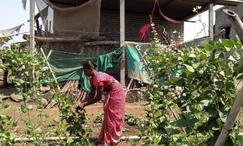73.2% Of Rural Women Workers Are Farmers, But Own 12.8% Land Holdings