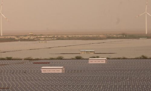 Why India’s Solar Push Could Kill The Livelihood Of Pastoral Communities Why India’s Solar Push Could Kill The Livelihood Of Pastoral Communities