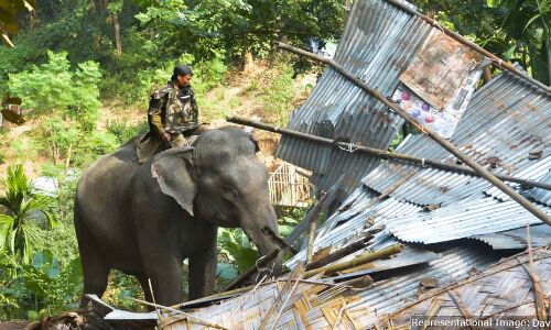 As SC Hearing Nears, Adivasis Recall Evictions That Led To Forest Law As SC Hearing Nears, Adivasis Recall Evictions That Led To Forest Law