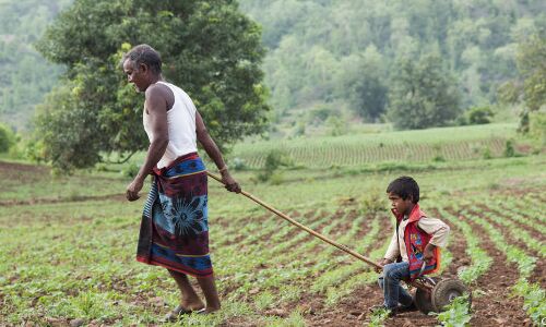 As Real Incomes Improved, Farmers’ Children Became Less Likely To Take Up Farming As Real Incomes Improved, Farmers’ Children Became Less Likely To Take Up Farming