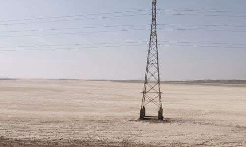 Drought-Hit Gujarat Has Water For Factories, But Not For Farmers