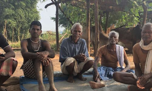 ‘Forest Rights Could Decide Election Results In 133 (25%) Seats’
