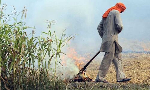 Annual Crop-Burning Health Bill = 3 Times India’s Health Budget