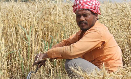 Top 12 Corporate NPAs Cost Exchequer Twice As Much As Farm Loan Waivers Top 12 Corporate NPAs Cost Exchequer Twice As Much As Farm Loan Waivers