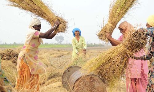 Interim Budget Makes Play For Farmers, Unorganised Sector Workers, Middle-Class Voters Interim Budget Makes Play For Farmers, Unorganised Sector Workers, Middle-Class Voters
