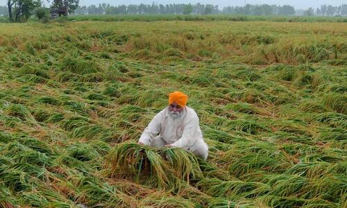 Farm Spending Doubles Over Past 5 Years, But Budget Will Have To Go Beyond Money, Say Experts