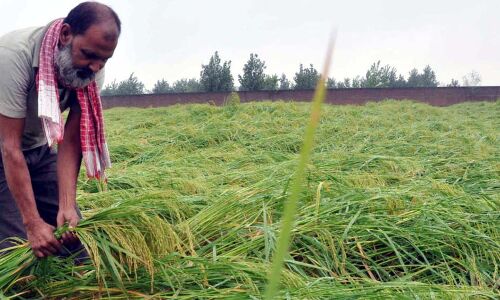 India Among Top 10 Carbon Polluters To Show Progress, But Farm Crisis Will Worsen, With Earth On Course To Get 3°C Warmer India Among Top 10 Carbon Polluters To Show Progress, But Farm Crisis Will Worsen, With Earth On Course To Get 3°C Warmer