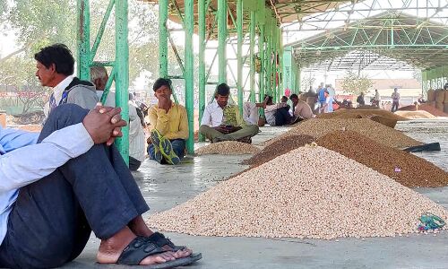 Why Thousands Of Farmers Marched To Delhi, Kolkata And Mumbai: Answers And Anger In India’s Fastest-Growing Farm Economy Why Thousands Of Farmers Marched To Delhi, Kolkata And Mumbai: Answers And Anger In India’s Fastest-Growing Farm Economy
