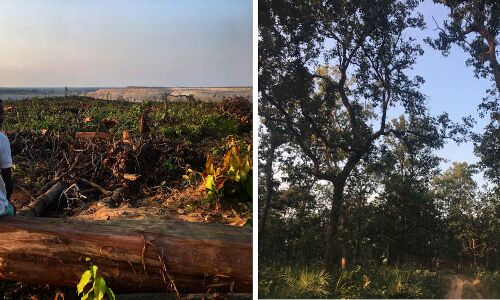 As India’s Poor, Tribal Heartland Votes Today, Widespread Unrest Over BJP Failure To Settle Land And Forest Claims As India’s Poor, Tribal Heartland Votes Today, Widespread Unrest Over BJP Failure To Settle Land And Forest Claims