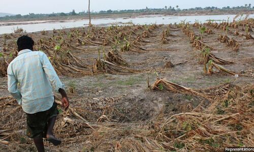 Climate Change Will Worsen Disparities, Increase Conflict, Support For Naxals: New Report Climate Change Will Worsen Disparities, Increase Conflict, Support For Naxals: New Report