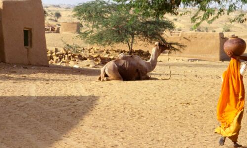 India’s Rural Have-Nots: Unconnected, Without Drinking Water, Low Reading Ability India’s Rural Have-Nots: Unconnected, Without Drinking Water, Low Reading Ability