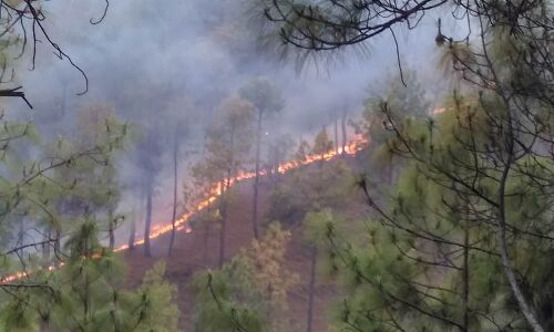 Forest Fires Increased 158% In 6 Years; Warming A Factor: Experts
