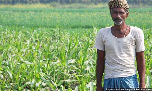 How Arctic Weather Could Affect Indian Farmers How Arctic Weather Could Affect Indian Farmers