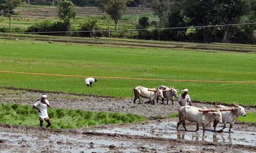 Karnataka Farm Sector Gets 6 Hours Of Power Daily, Least In India Karnataka Farm Sector Gets 6 Hours Of Power Daily, Least In India