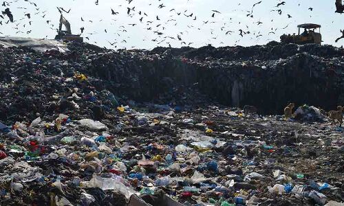 25 Indian States Ban Plastic Bags. Yet, 600 Truckloads Of Plastic Discarded Every Day