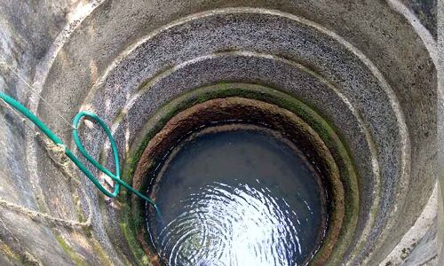 Harvesting The Rain: How One Kerala District Is Solving Its Water Problem Harvesting The Rain: How One Kerala District Is Solving Its Water Problem