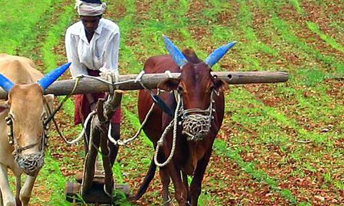 #Budget2018: Farming, Infrastructure Get Big Boost #Budget2018: Farming, Infrastructure Get Big Boost