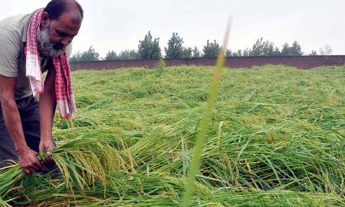 India’s GDP Growth To Decline, Climate Change May Hit Farm Incomes India’s GDP Growth To Decline, Climate Change May Hit Farm Incomes