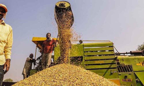 Budget 2018: Why Record Harvests, Govt Spending Not Enough For Farmers