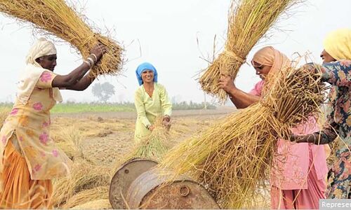 India’s Growing Affluence Does Not Promise Its Women More Rights, Safety