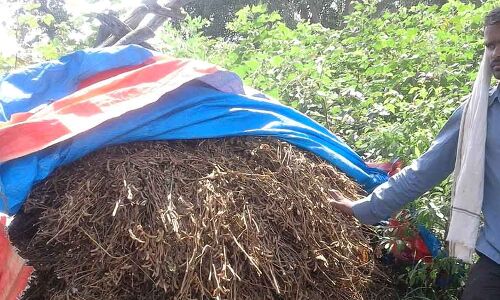 As State Bungles Loan Waiver, 4 Maharashtra Farmers Kill Themselves As State Bungles Loan Waiver, 4 Maharashtra Farmers Kill Themselves