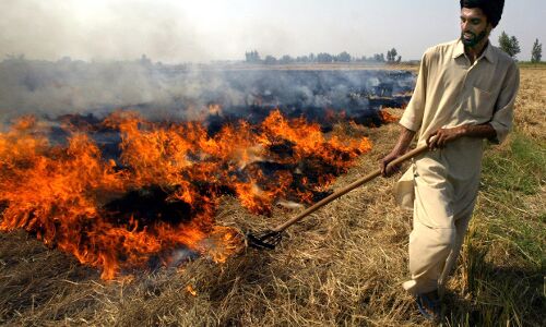Delhi’s Air Quality Could Improve 90% If Stubble-Burn In Fields Is Stopped