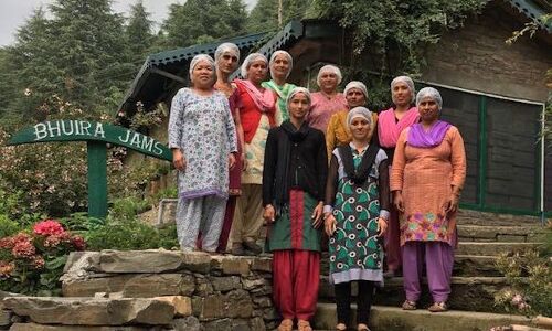 Why Himachali Women Work: A Jam Factory May Have Answers Why Himachali Women Work: A Jam Factory May Have Answers