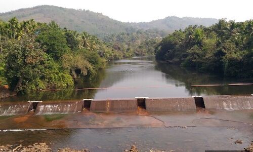 India Could Reduce Flood Damage By Expanding Forest Cover: New IIT Study India Could Reduce Flood Damage By Expanding Forest Cover: New IIT Study