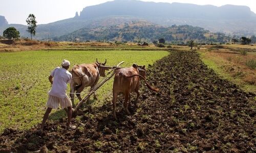 As India Warms, Farm-Suicide ‘Epidemic’ Will Worsen: US Scientist Advises ‘Urgent’ Action As India Warms, Farm-Suicide ‘Epidemic’ Will Worsen: US Scientist Advises ‘Urgent’ Action