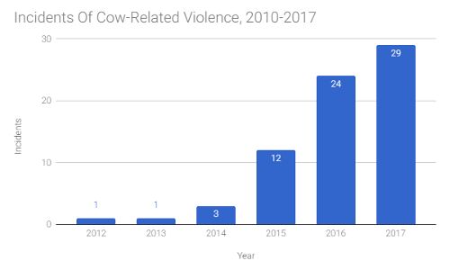 Almost One Cow-Related Attack Every Week In 2017 Thus Far Almost One Cow-Related Attack Every Week In 2017 Thus Far