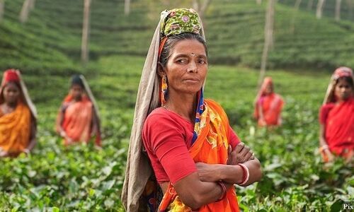Why Indian Workplaces Are Losing Women: Our Nationwide Investigation Begins Why Indian Workplaces Are Losing Women: Our Nationwide Investigation Begins