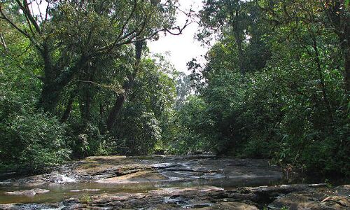 India’s Wildlife Crisis, And Why Hope Is So Important India’s Wildlife Crisis, And Why Hope Is So Important