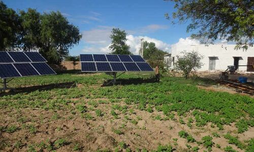 Gujarat’s Solar Irrigation Cooperative Has A Solution For India’s Groundwater Crisis