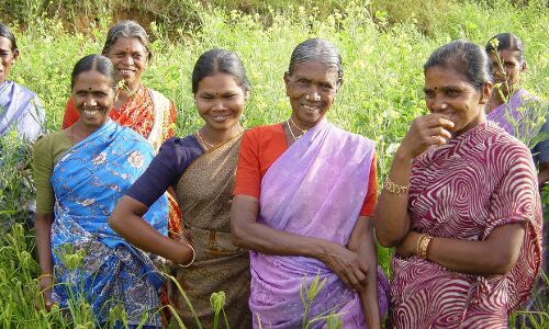 Rising Income Levels, Stability Linked To Declining Female Workforce Participation In India Rising Income Levels, Stability Linked To Declining Female Workforce Participation In India